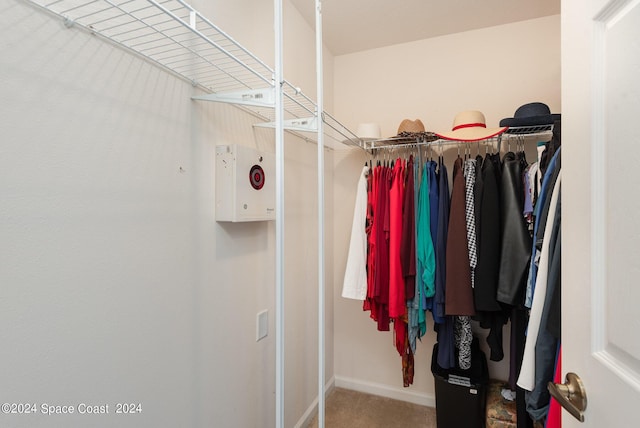 walk in closet with carpet flooring