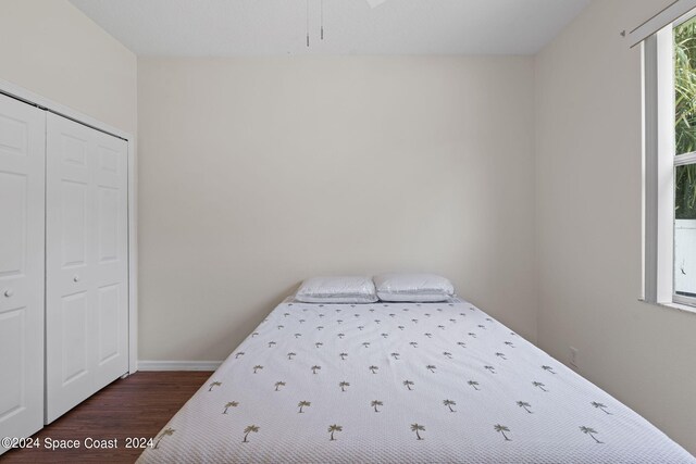 bedroom with a closet and dark hardwood / wood-style floors