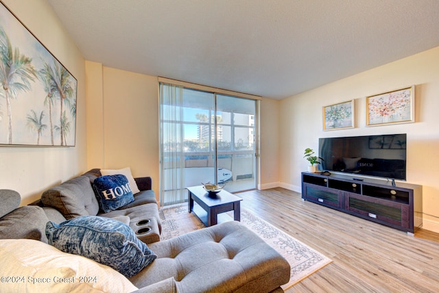 living room featuring light hardwood / wood-style flooring and expansive windows