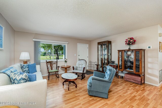 living room featuring a textured ceiling and hardwood / wood-style floors