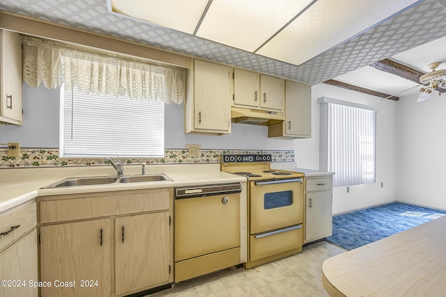 kitchen featuring range with electric stovetop, light floors, a sink, under cabinet range hood, and dishwashing machine