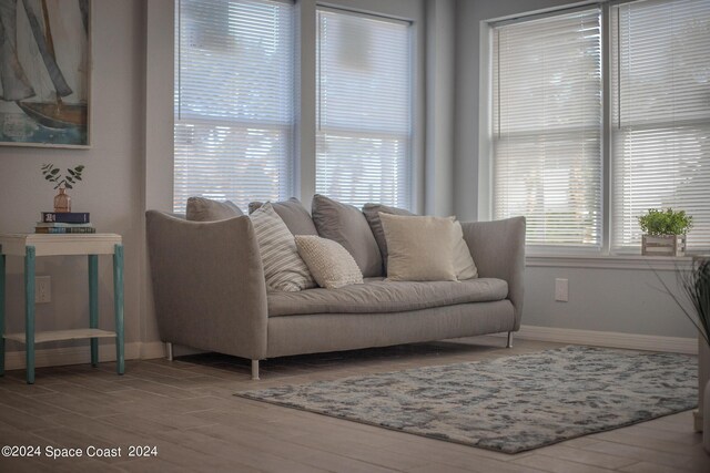 living room featuring plenty of natural light and hardwood / wood-style floors