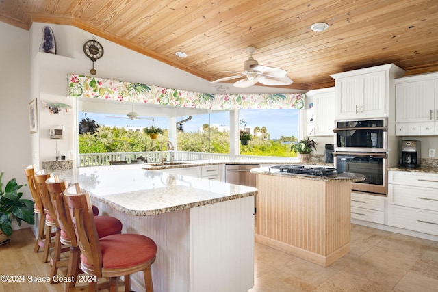 5280 95th St, Sebastian, FL 32958 - kitchen featuring wooden ceiling, crown molding, stainless steel appliances, lofted ceiling, and ceiling fan