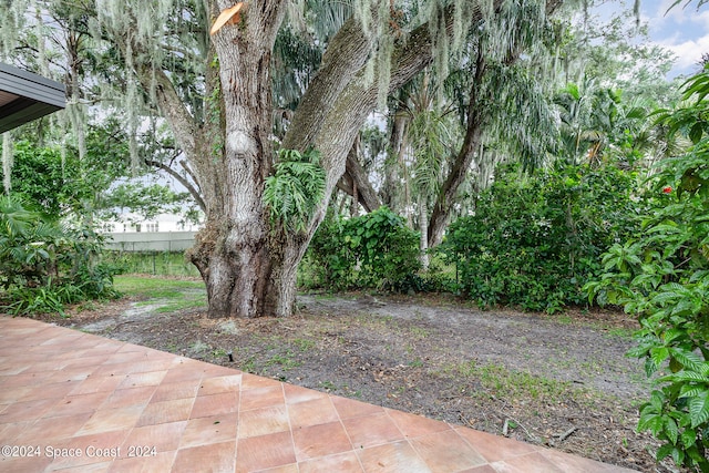 view of yard with a patio area