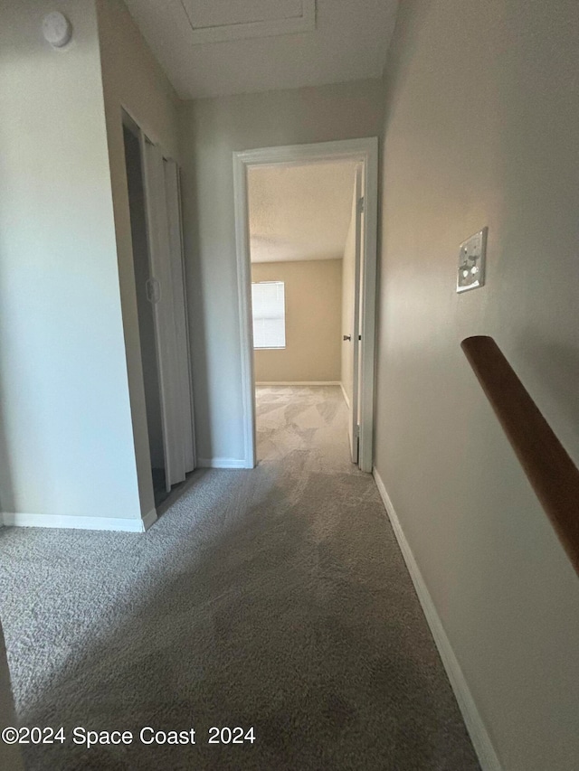 hallway featuring carpet