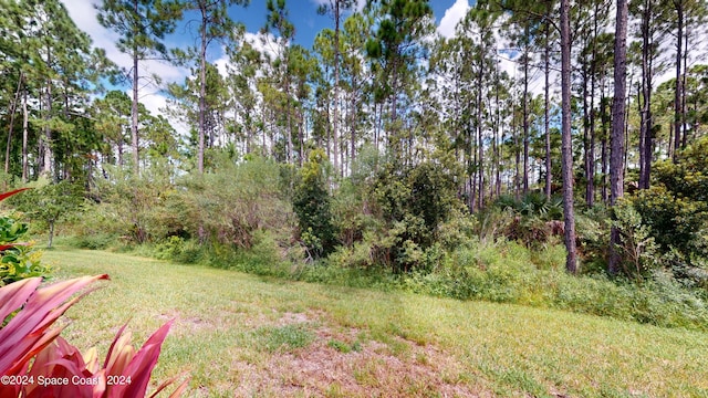 362 Tiki Ter, Daytona Beach, FL 32124 - view of yard