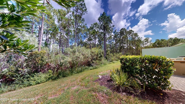362 Tiki Ter, Daytona Beach, FL 32124 - view of yard