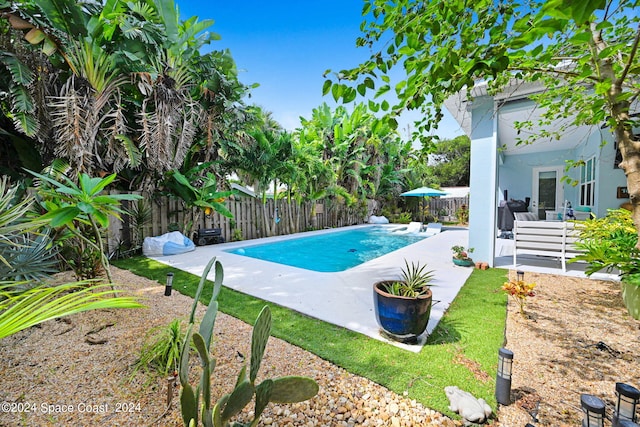 view of pool featuring a patio area