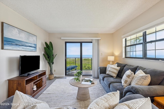 living room featuring carpet, a textured ceiling, and plenty of natural light