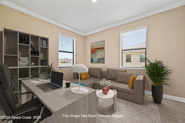 office area featuring crown molding and wood-type flooring