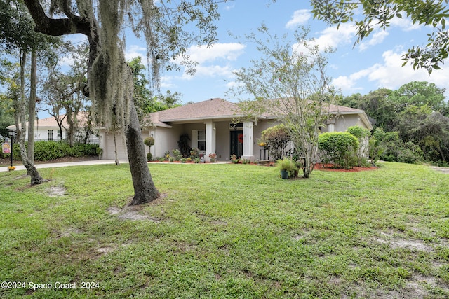 ranch-style house featuring a front yard