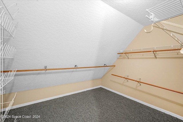 spacious closet with vaulted ceiling and carpet