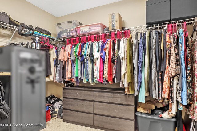 spacious closet featuring carpet flooring