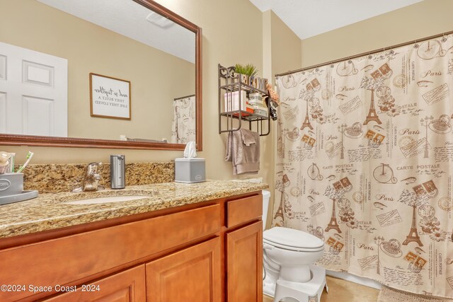 bathroom featuring vanity, toilet, and a shower with curtain