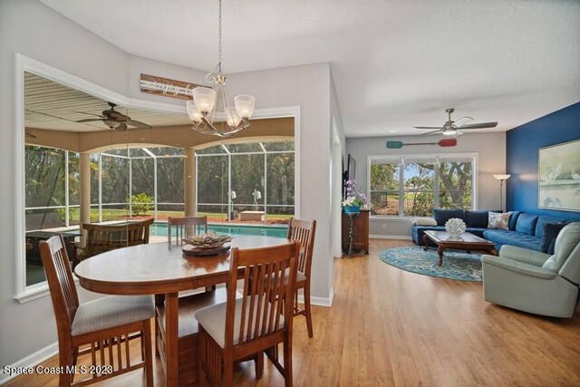 dining area featuring ceiling fan with notable chandelier and hardwood / wood-style flooring