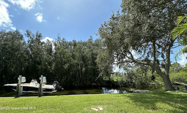 view of property's community with a lawn and a water view