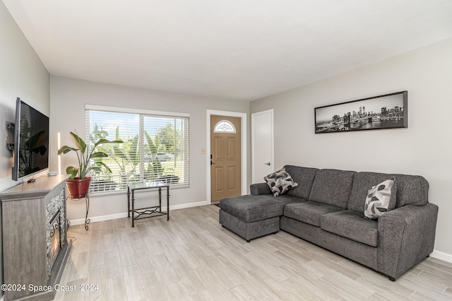 living room with light hardwood / wood-style flooring