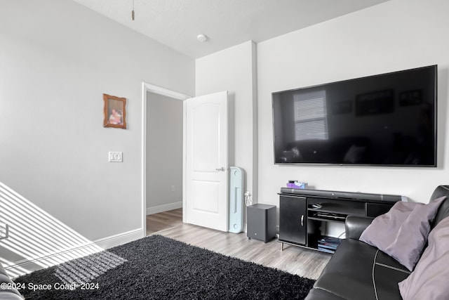 living room featuring light hardwood / wood-style floors