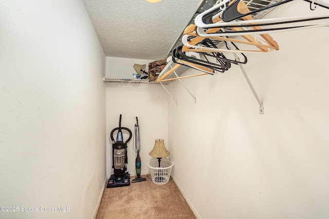 spacious closet featuring light colored carpet