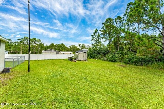 view of yard featuring a shed