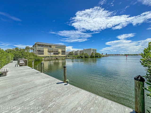 dock area with a water view