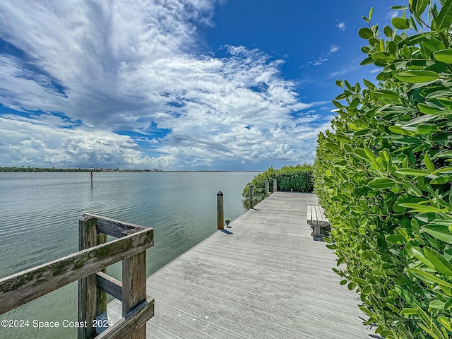 dock area featuring a water view