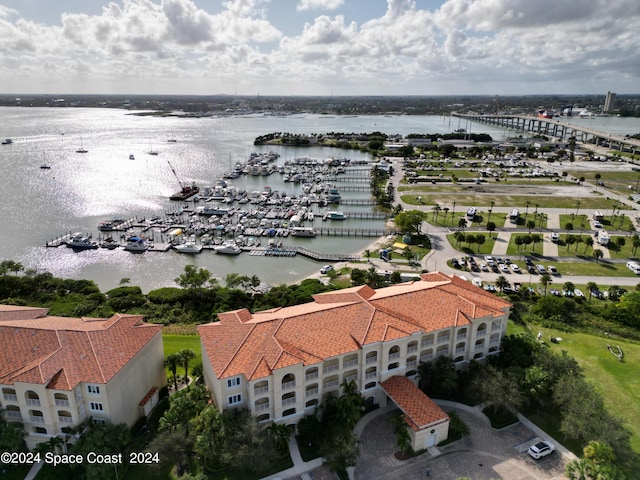 bird's eye view with a water view