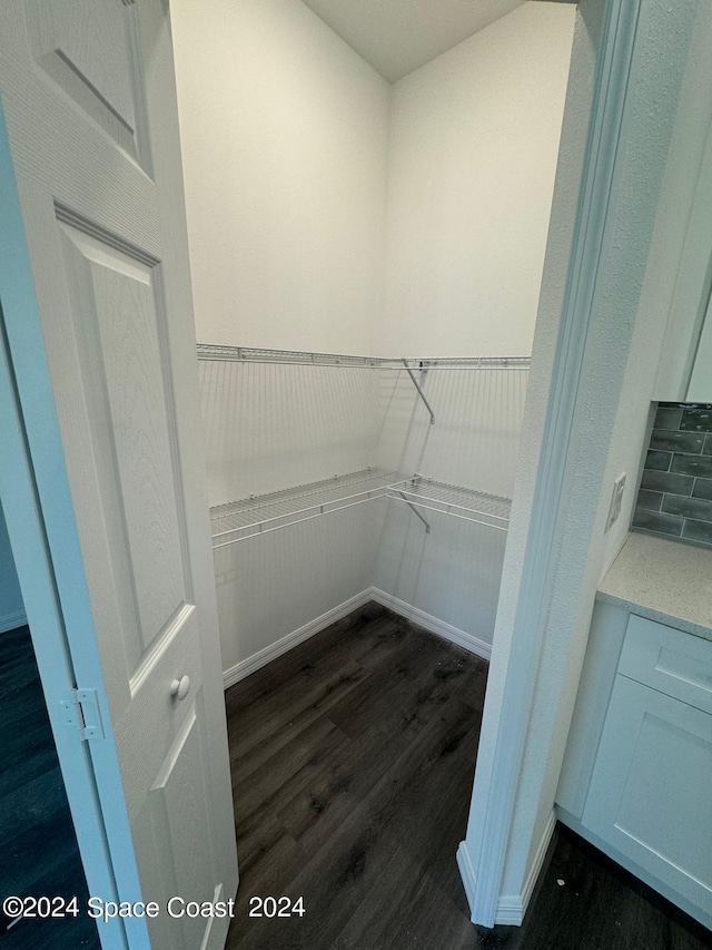 walk in closet featuring dark wood-style floors