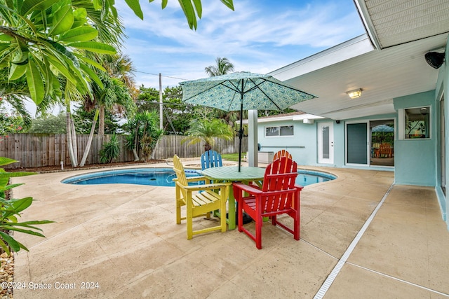 view of swimming pool with a patio