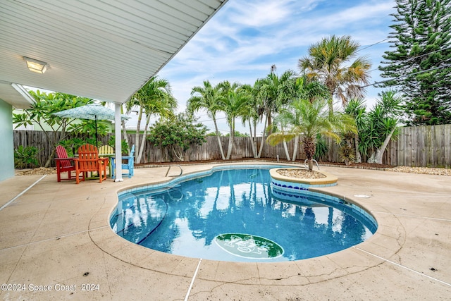 view of swimming pool featuring a patio