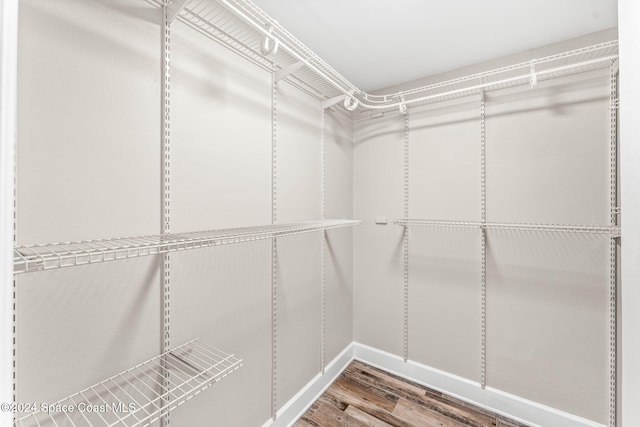 spacious closet with hardwood / wood-style floors