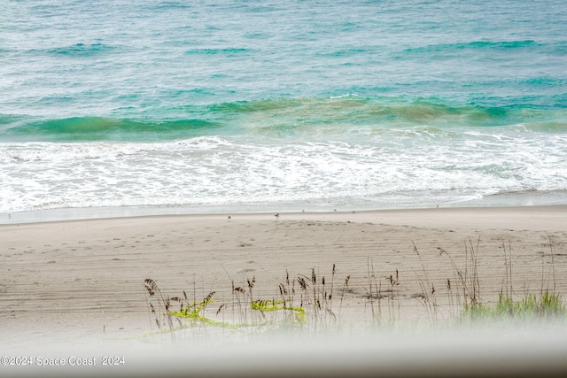 water view featuring a beach view