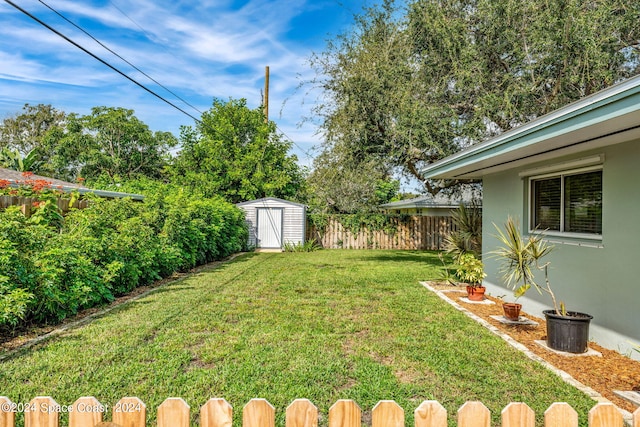 view of yard with a shed