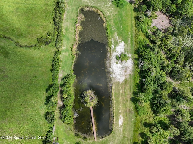 520 Atz Rd, Malabar, FL 32950 - photo 89