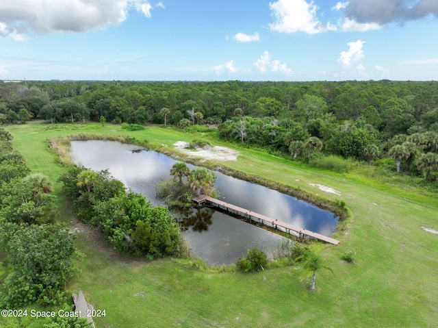 520 Atz Rd, Malabar, FL 32950 - photo 24