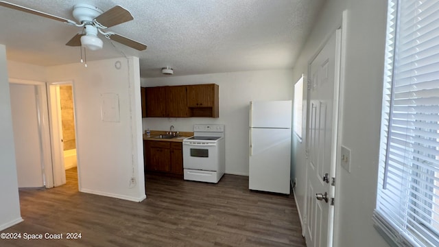 kitchen with white appliances, a textured ceiling, dark hardwood / wood-style flooring, sink, and ceiling fan