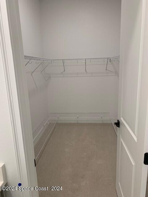 spacious closet featuring light colored carpet