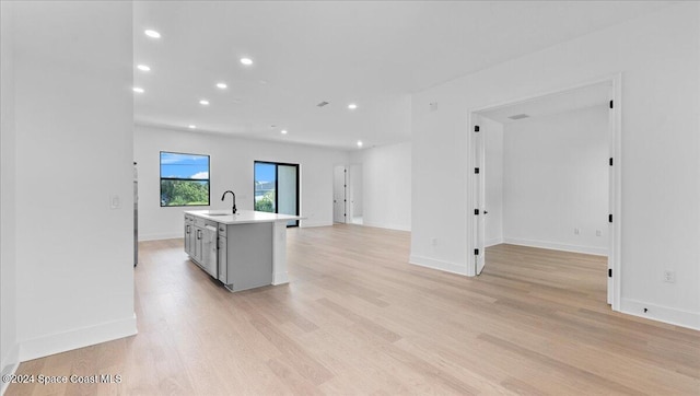 interior space with sink and light hardwood / wood-style flooring