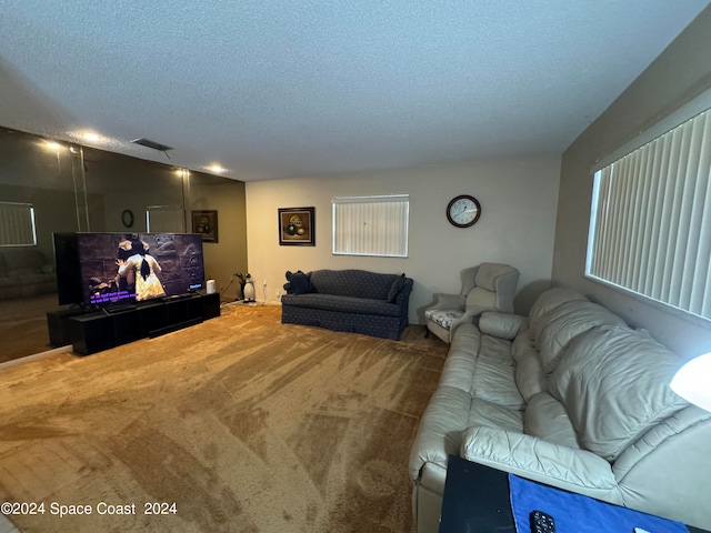 living room with carpet and a textured ceiling