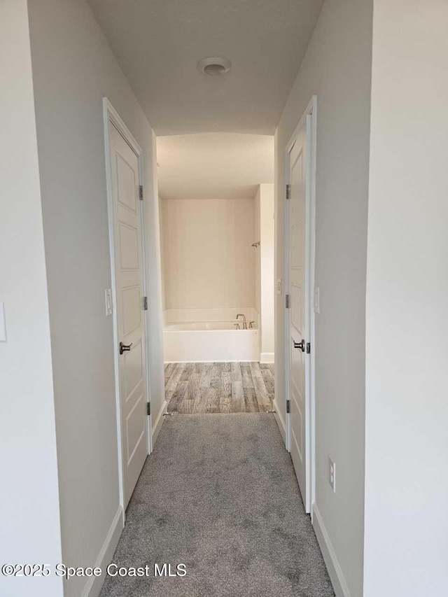 hallway featuring baseboards and carpet