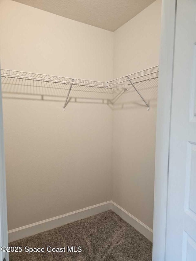 walk in closet with carpet