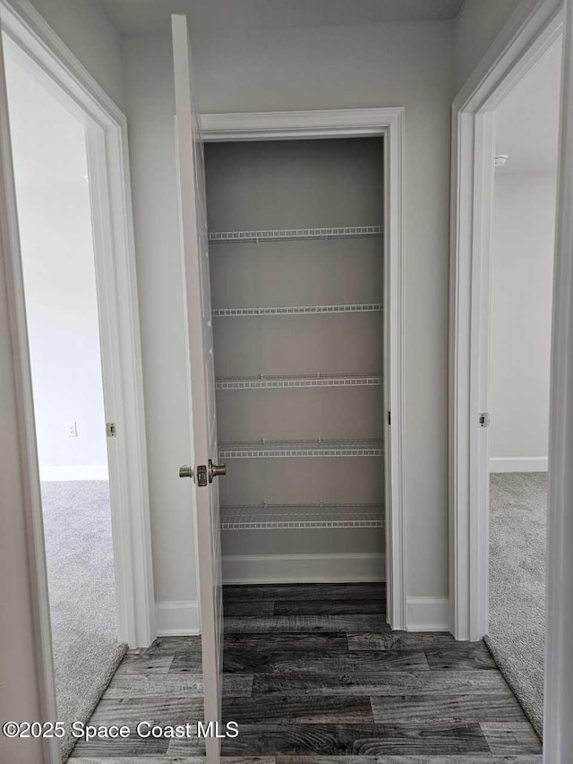 view of closet