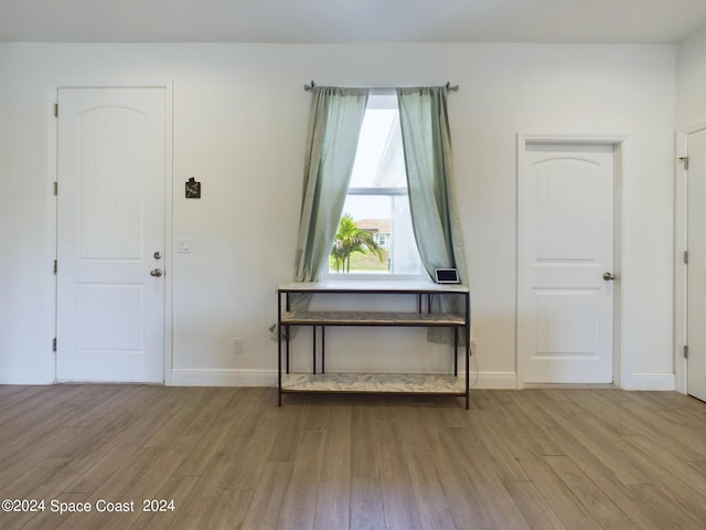 foyer entrance featuring hardwood / wood-style floors