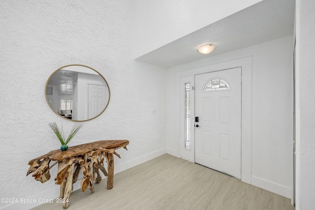 foyer entrance featuring light hardwood / wood-style floors and a healthy amount of sunlight