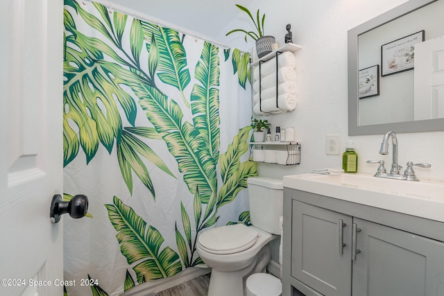 bathroom with wood-type flooring, toilet, walk in shower, and vanity