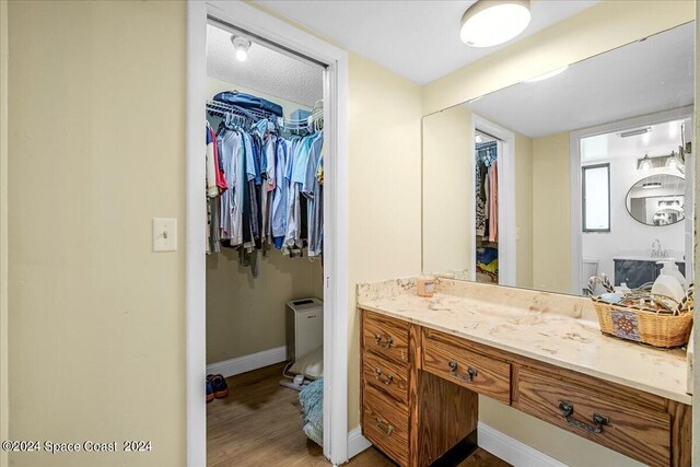 bathroom featuring hardwood / wood-style floors and vanity