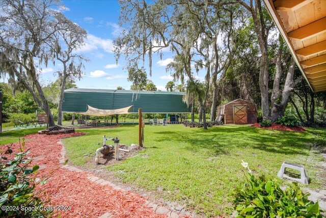 view of yard with a storage unit