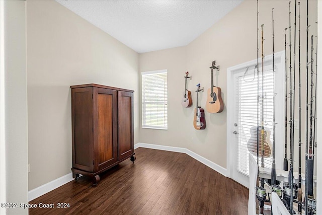 interior space featuring dark hardwood / wood-style flooring and a textured ceiling