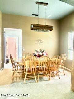 dining room with carpet floors