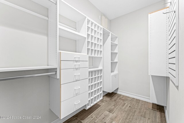 walk in closet with hardwood / wood-style flooring